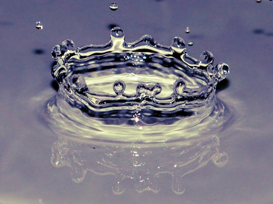 Environment Specialists